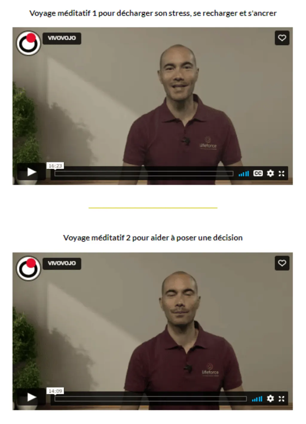 Vivovojo dinamika David Tan gestion du stress