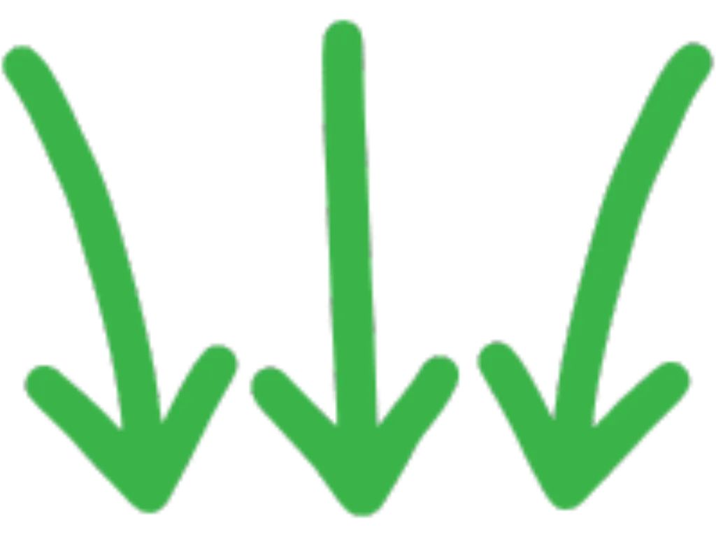 fleche