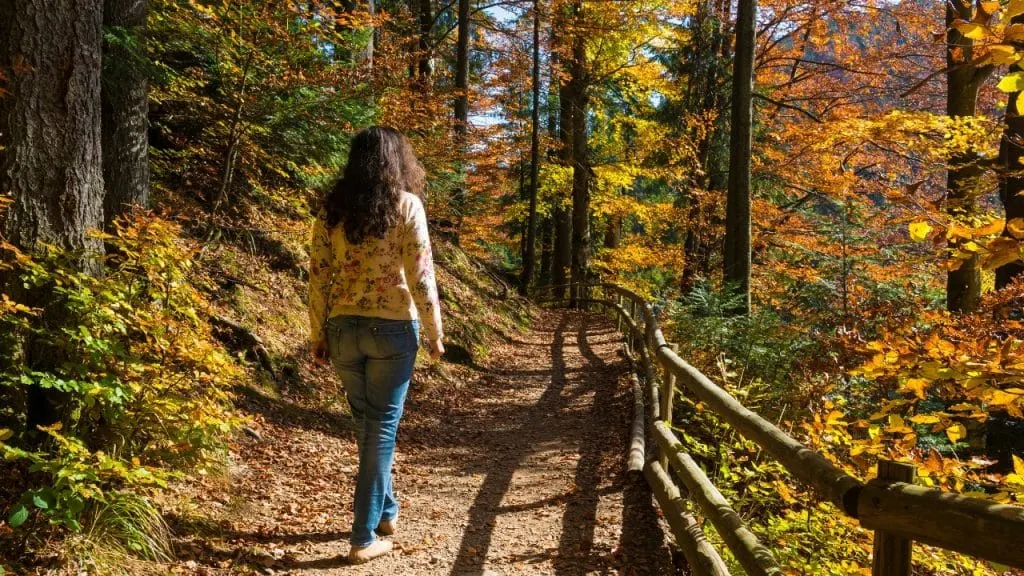 marche en pleine nature