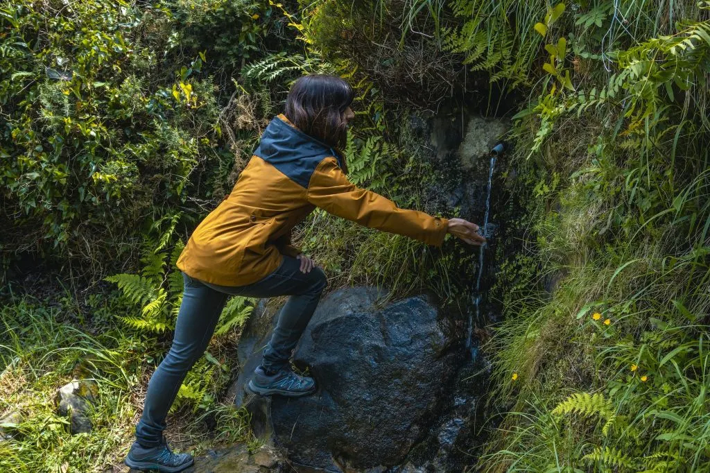 Natural water source in the bush