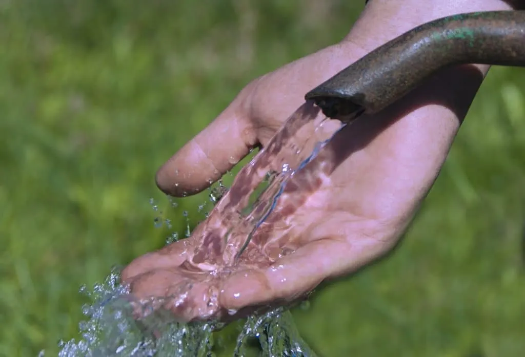 to drink water from the source,