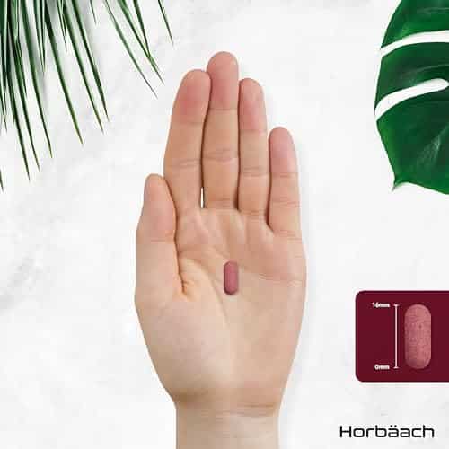 superaliments booster oxyde nitrique: comprimés vegétaliens de betterave 3000mg by horbaach