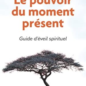 guide d'Éveil spirituel: le pouvoir du moment présent