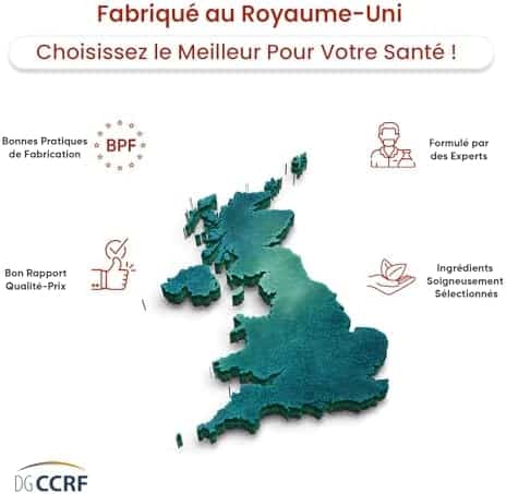 curcuma bio & gingembre en gélules vegan complexe puissant & 100% naturel avec poivre noir