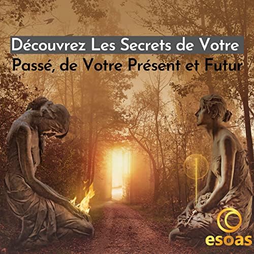 set viking de 25 runes divinatoires en agate noire : pour une voyance mythologique à la portée de tous