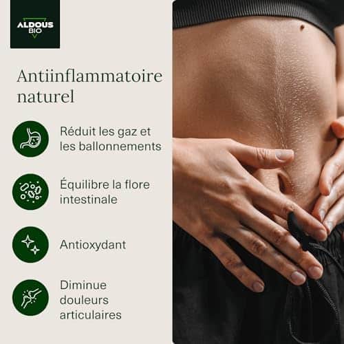 probiotiques naturels + curcuma bio en gélules: anti inflammatoire puissant avec gingembre et poivre noir 1460mg | formule avancée | certifié bio