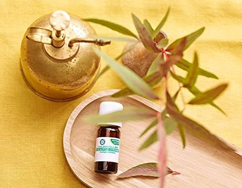 huiles essentielles bio eucalyptus citronné 100% pure phytosun arôms 10 ml