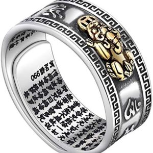bague feng shui pixiu de protection et richesse réglable amulette pour homme et femme par cefoney