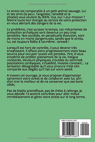 vainquez le stress: 13 techniques efficaces contre anxiété et angoisse