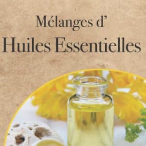 mélange d'huiles essentielles: mon carnet de 100 recettes prêtes à remplir 15,4x22,8cm