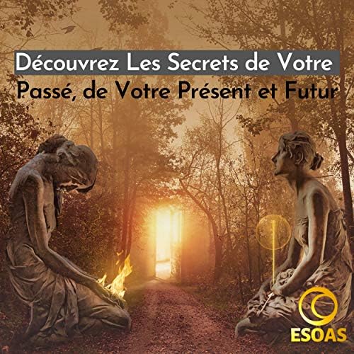 set de 25 runes viking divinatoires en améthyste idéal pour voyance et magie, fournies avec sac